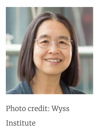 Photo of Chao-ting Wu