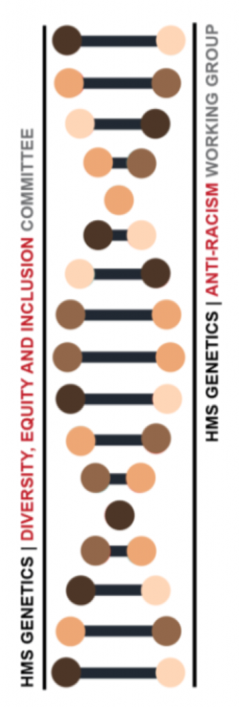 HMS Genetics diversity, Equity and Inclusion Logo